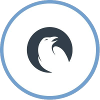RVNS Esports